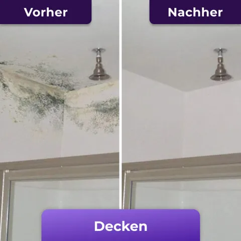 carrocel-nuroclean-480x480 (12)