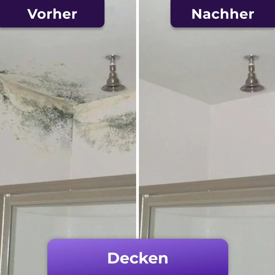 carrocel-nuroclean-960xc (11)